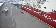 Zeehaven Webcam - Reykjavik